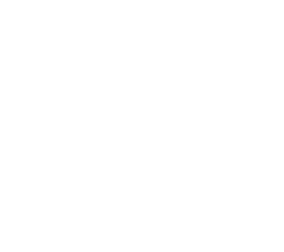 The LV Logo